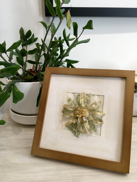 Daisy Gerbera In Frame | Mint