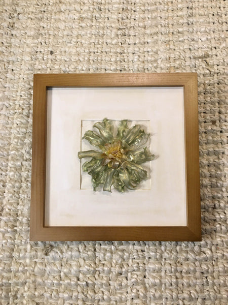 Daisy Gerbera In Frame | Mint